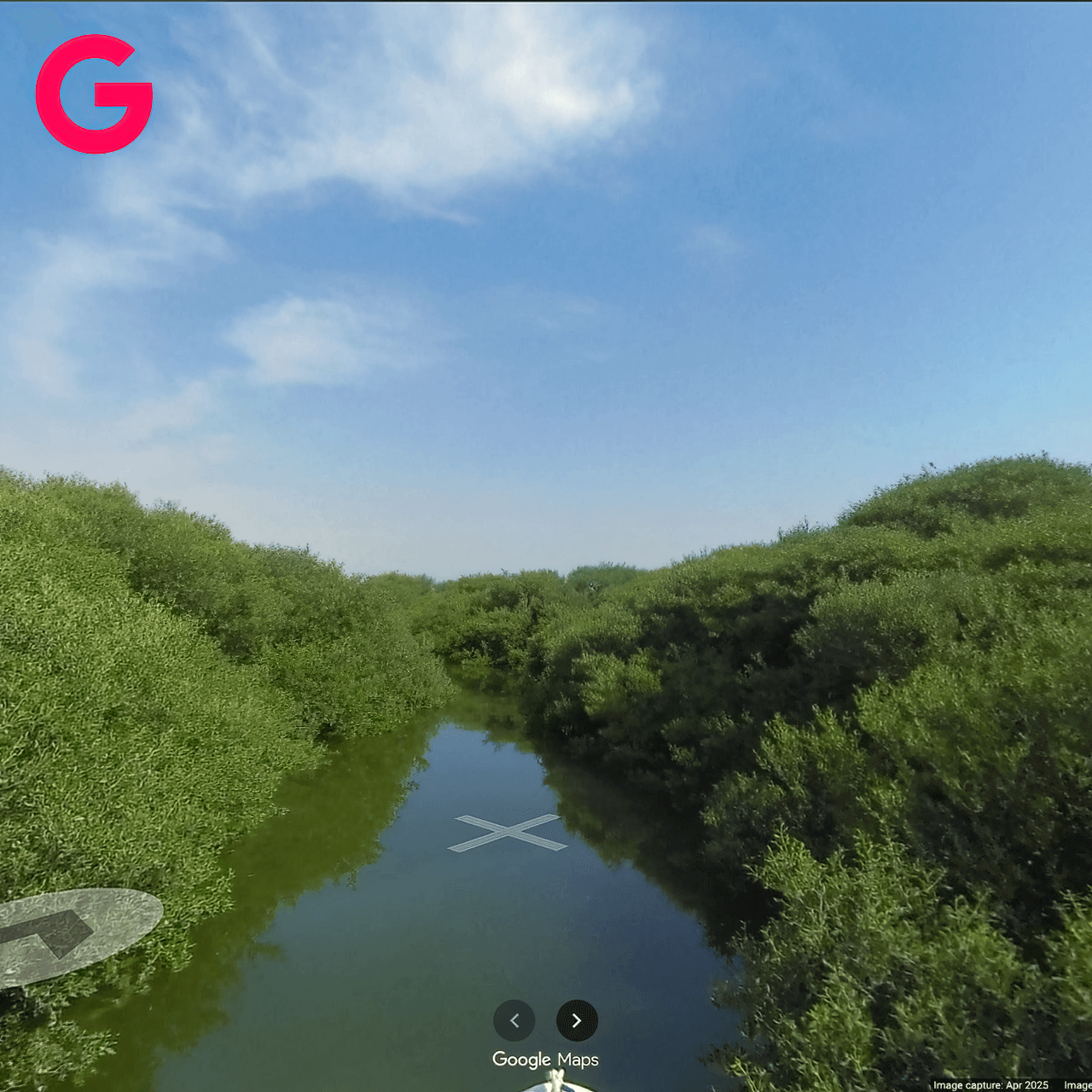 Google-Bahrain-Mangroves-POI-DeNoiseAI-clear